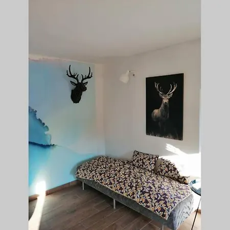 Apartment Hisa Pri Koritu - Apartma Matajur *